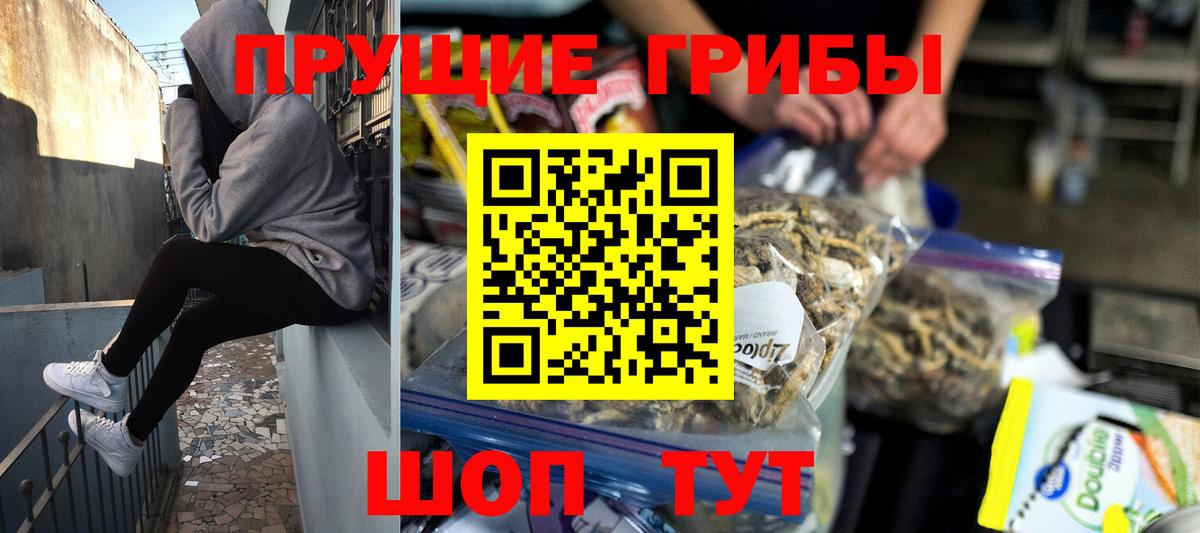 Псилоцибиновые грибы Psilocybe  Вход с VPN  где можно купить наркотик  Изобильный 